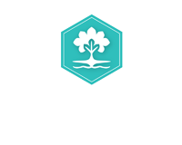 Curry Creek Homes