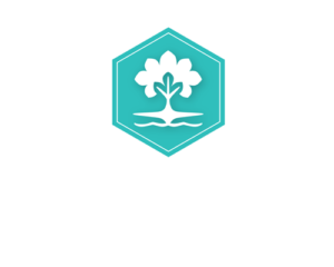 curry creek homes logo